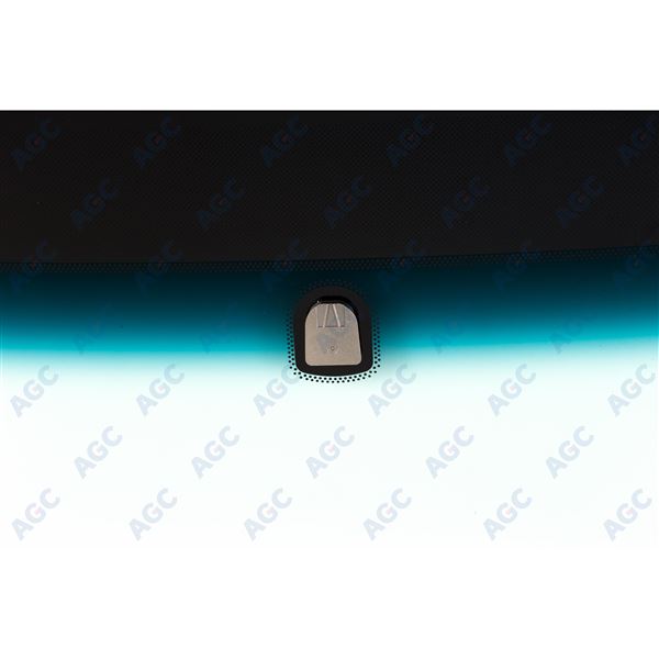 FOR FOCUS 98- GN/BL +SC