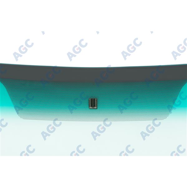 RENAU MEGANE WS 95 G G